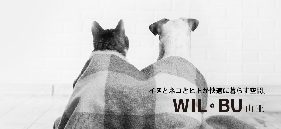 wil bu山王 wilbu ウィルブ